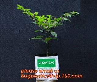 cultivating bags, 100% biodegradable various Wholesale Poly Black Square Garden Plastic Baby Flower Plant Nursery Poly B