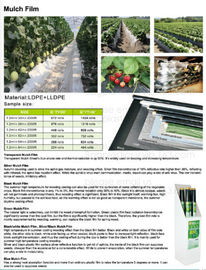 Mulch film,plant protect sleeve film w/hole,air-breath mulch film,silver,black, green,mulch film, pull-off hole,ldpe+lld