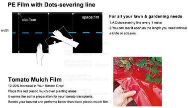 Perorated weed barrier,mulch film with hole,pe film with dots-servering line,tomato mulch film,plastic nail,fasten sheet