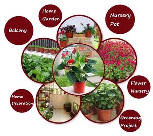 Nursery Flower soft cheap plastic plant flower pots wholesale,fleshy flowerpots cheap plastic garden plant flower pots,