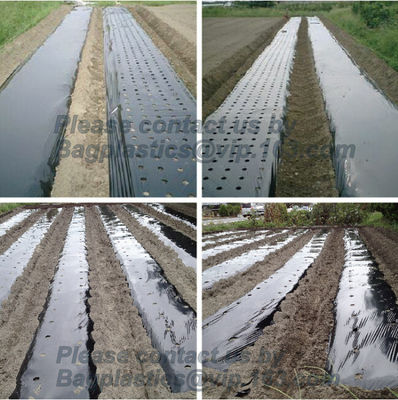 Perforated silver black mulch film for crop production,vegetable garden black / gray perforated mulch layer plastic mulc