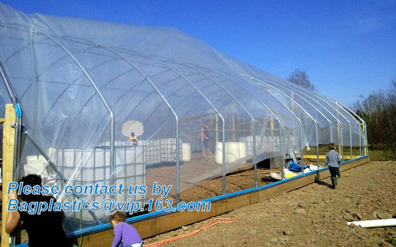 plastic film agriculture greenhouse,6 mil poly anti-uv plastic greenhouse film,Anti-fog UV resistant,mushroom,TOMATO PAC