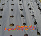 Perforated plastic mulch film save drilling troubles,perforated agricultural plastic mulch film,perforated white/black m