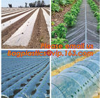 Perforated plastic mulch film save drilling troubles,perforated agricultural plastic mulch film,perforated white/black m