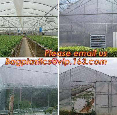 Perforated plastic mulch film save drilling troubles,perforated agricultural plastic mulch film,perforated white/black m