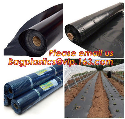 Perforated plastic mulch film save drilling troubles,perforated agricultural plastic mulch film,perforated white/black m