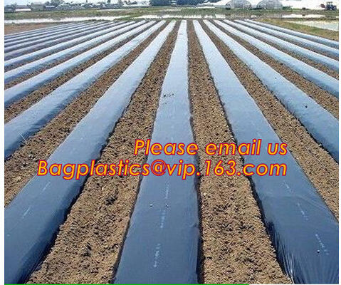 agricultural biodegradable perforated Mulch film,Holes Mulch Film for agricultural gardening factory supply BAGEASE PAC