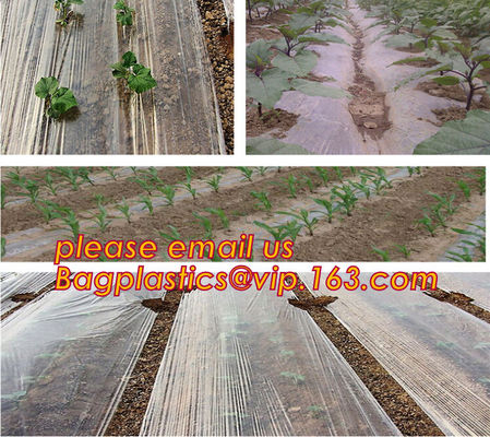 Durable plastic mulch film for greenhouse,Black/white Mulch Film/clear Plastic Protective Film,pe agriculture white/blac