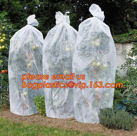 PP Non Woven Fabric Fruit Tomato Banana Bunch Cover Garden Plant Protection Cover For Winter,Eco-friendly Household Non