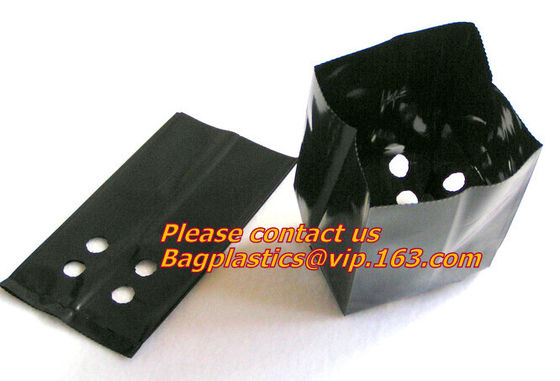 Horticulture, Planter, Grow Bag, garden bags, grow bags, hanging plant bags, planter