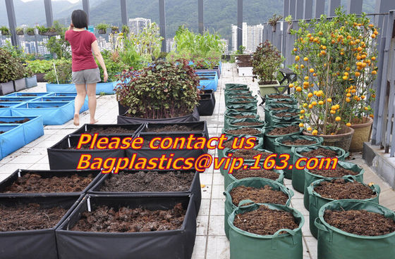 Horticulture, Planter, Grow Bag, garden bags, grow bags, hanging plant bags, planter