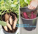 Green Gardening Supplies Simple Double Color Plastic,seeding nursery pots with high quality,vertical garden hydroponic p