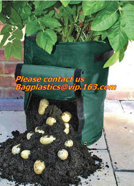 Horticulture, NURSERY, PLANTER, SEED, PLASTIC GROW BAGS, HYDROPONICS, FLOWERPOTS, BLACK