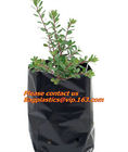Plastic Planter, Grow Bag, garden bags, grow bags, hanging plant bags, planters