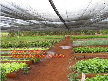 30 mesh anti insect farm nets for greenhouse,100% pe transparent color greenhouse anti insect net for plant, agriculture