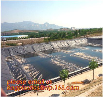 2.0mm geomembrane for landfill Hdpe geomembrane landfill geomembrane,hdpe geomembrane price/gse hdpe geomembrane BAGEASE