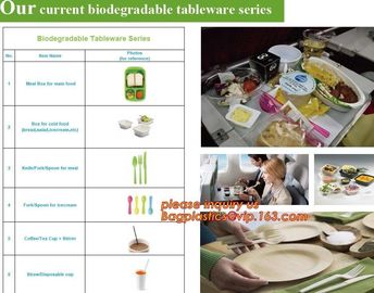 corn starch dinnerware sets biodegradable cake tray, Corn Starch White Molded Fiber Pulp Rectangular Tray Paper Food Tra