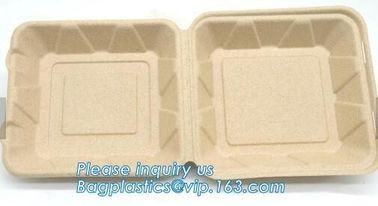 Dishes & Plates Dinnerware Blister packaging Resturant Disposable Food Serving Tray food disposable container