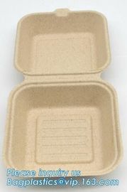 biodegradable disposable corn starch tray compartment catering tray fruit packaging tray made from cornstarch