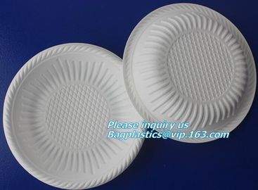 Disposable Plastic Takeaway Meal Tray, Corn starch blister packaging tray, blister packaging