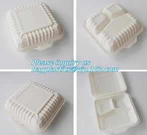 Disposable Plastic Takeaway Meal Tray, Corn starch blister packaging tray, blister packaging