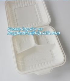 blister packaging Packaging Tray, airline fast food trays with handle, cornstarch food trays