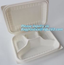 Food Serving Compartment Tray, Food Meat Packaging Tray, eco friendly vegetable tray