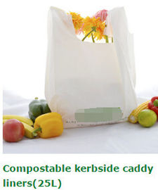 En13432 certified custom printed wholesale biodegradable compostable plastic pharmacy bag with singlet handle