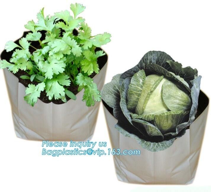 15 GALLON Hole Plastic LDPE Grow Bags For Nursery, Black & White PE Grow Bags for Hydroponic and Horticulture use, BAGEA
